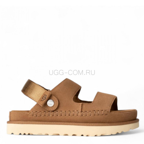 Goldenstar Glide Chestnut