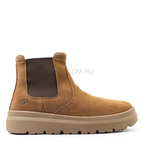 Men's Burleigh Chelsea Chestnut