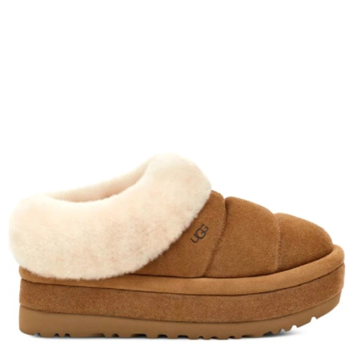 Tazzlita Chestnut