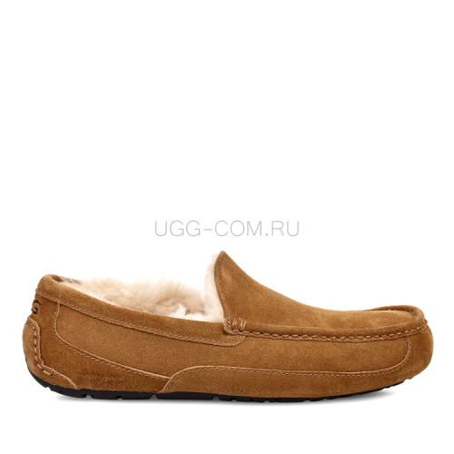 MENS Ascot Chestnut
