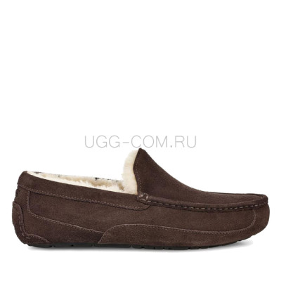MENS Ascot Chocolate