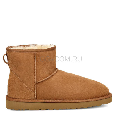 MENS Classic Mini Chestnut