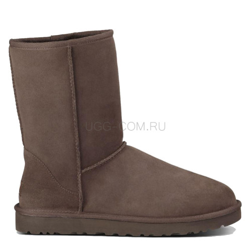 MENS Classic Short Chocolate